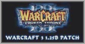 Патч 1.25b для Warcraft 3 - скачать Patch 1.25